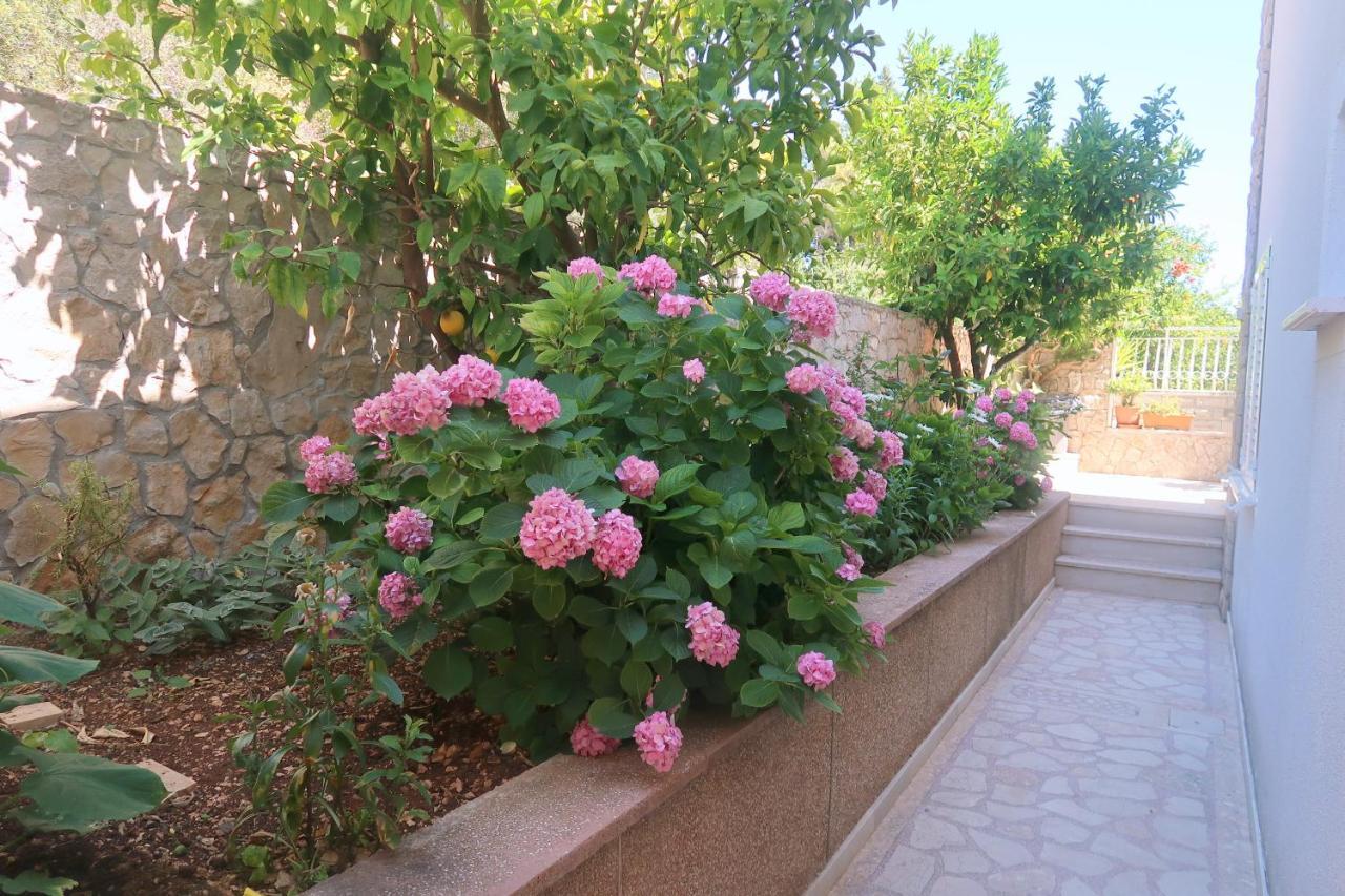 Cvita Apartments Trogir Exteriér fotografie
